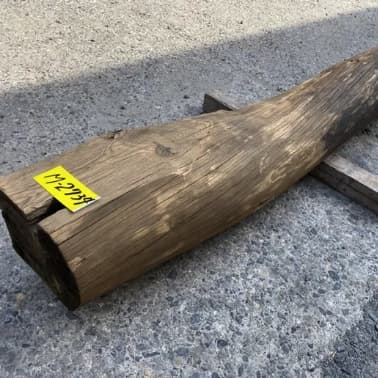 Elevate Your Space Collection