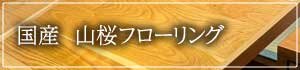 fl_yamazakura.jpg