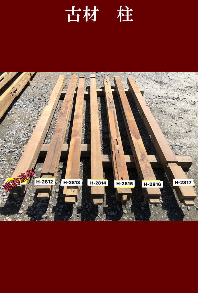 柱 H-2815