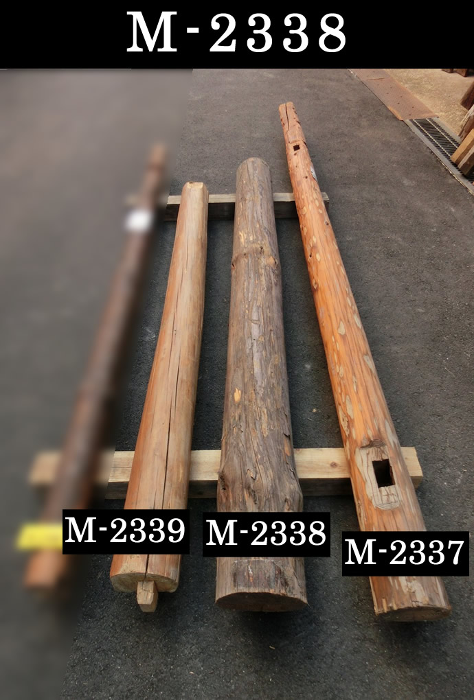 丸太　M-2338