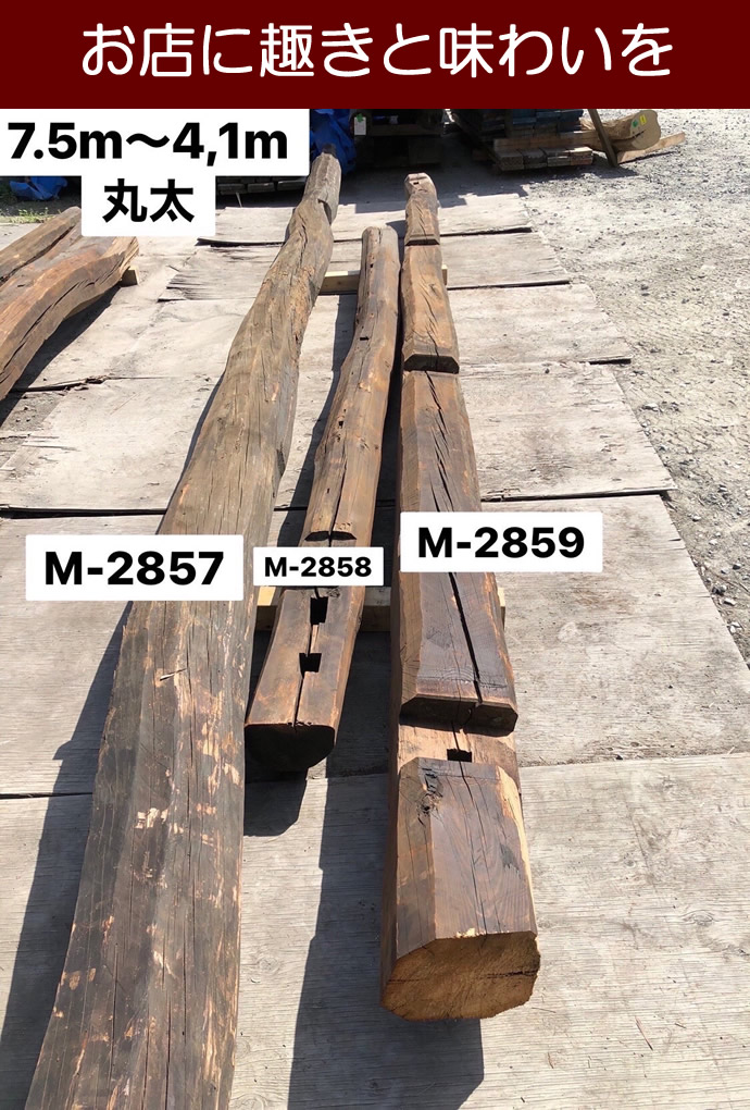 丸太　M-2857