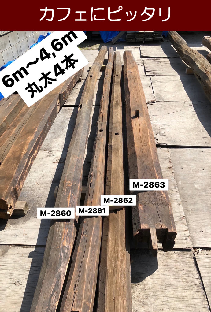 丸太 M-2863